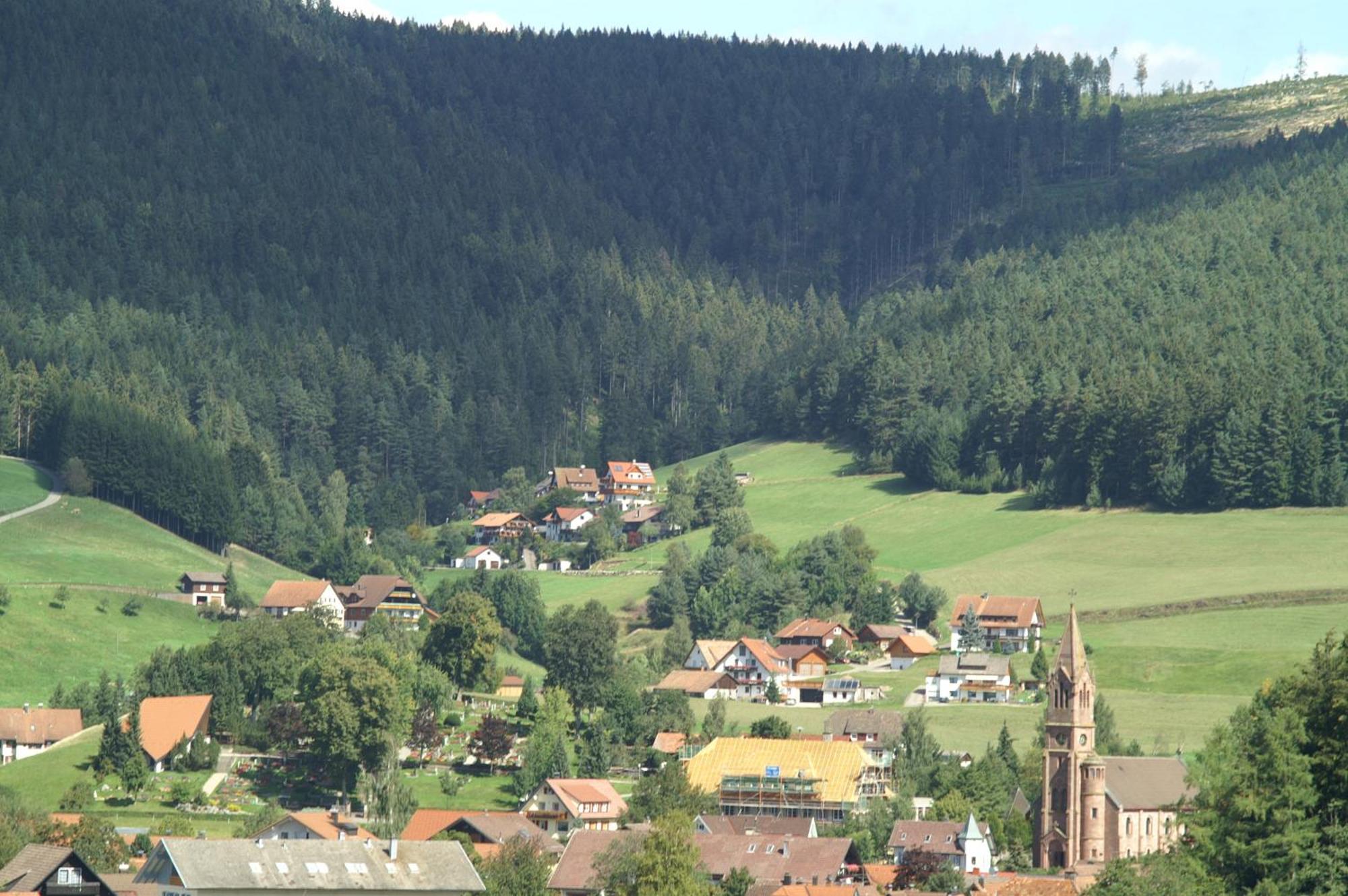 Hotel Lamm Baiersbronn Mitteltal Exterior photo